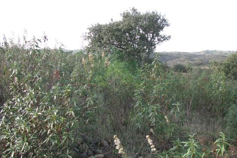 Helårsgrund i Castro Marim, Faro, Castro Marim - € 16.000 | Ref: 4001-010 - foto 3