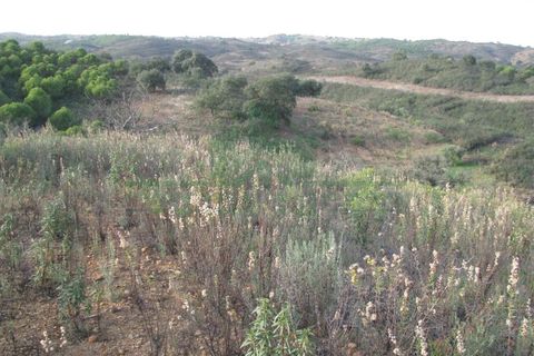 Helårsgrund i Castro Marim, Faro, Castro Marim - € 16.000 | Ref: 4001-010 - foto 5