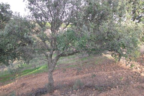 Helårsgrund i Castro Marim, Faro, Castro Marim - € 16.000 | Ref: 4001-010 - foto 10