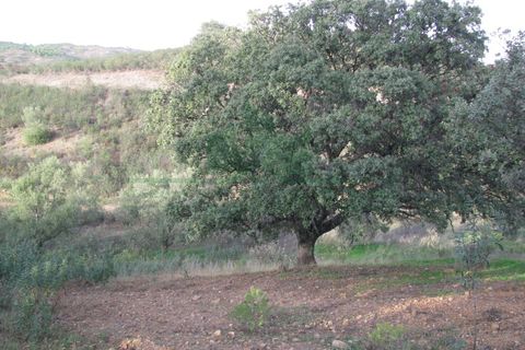 Helårsgrund i Castro Marim, Faro, Castro Marim - € 16.000 | Ref: 4001-010 - foto 11