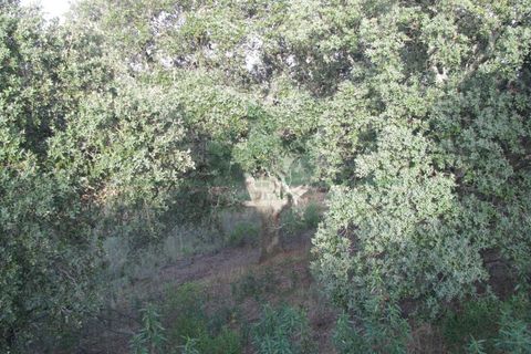 Helårsgrund i Castro Marim, Faro, Castro Marim - € 16.000 | Ref: 4001-010 - foto 14