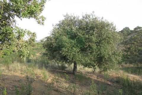 Helårsgrund i Castro Marim, Faro, Castro Marim - € 16.000 | Ref: 4001-010 - foto 17