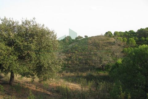 Helårsgrund i Castro Marim, Faro, Castro Marim - € 16.000 | Ref: 4001-010 - foto 18