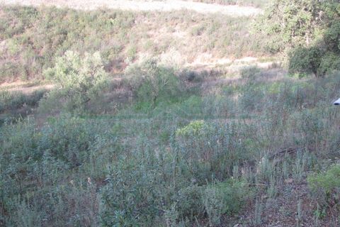 Helårsgrund i Castro Marim, Faro, Castro Marim - € 16.000 | Ref: 4001-010 - foto 19