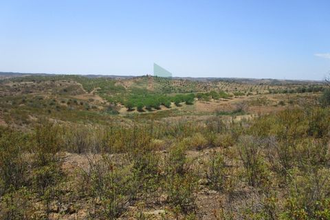 Helårsgrund i Castro Marim, Faro, Castro Marim - € 220.000 | Ref: 2001-113 - foto 29