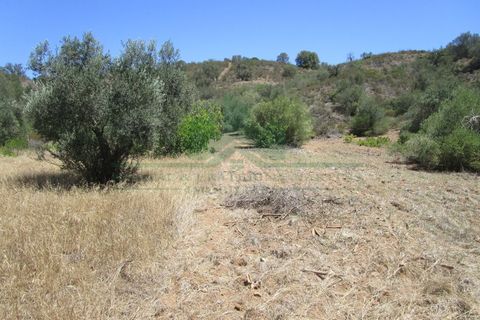 Helårsgrund i Castro Marim, Faro, Castro Marim - € 19.000 | Ref: 2001-120 - foto 1