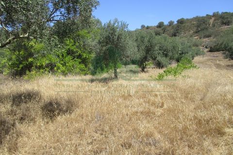 Helårsgrund i Castro Marim, Faro, Castro Marim - € 19.000 | Ref: 2001-120 - foto 2