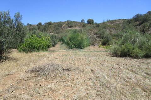 Helårsgrund i Castro Marim, Faro, Castro Marim - € 19.000 | Ref: 2001-120 - foto 3