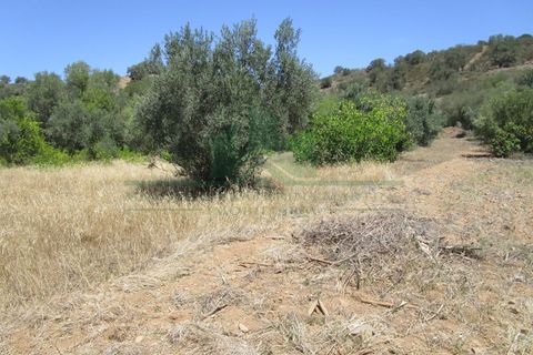 Helårsgrund i Castro Marim, Faro, Castro Marim - € 19.000 | Ref: 2001-120 - foto 5