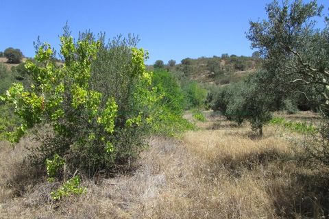 Helårsgrund i Castro Marim, Faro, Castro Marim - € 19.000 | Ref: 2001-120 - foto 6