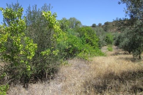 Helårsgrund i Castro Marim, Faro, Castro Marim - € 19.000 | Ref: 2001-120 - foto 8