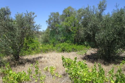 Helårsgrund i Castro Marim, Faro, Castro Marim - € 19.000 | Ref: 2001-120 - foto 9