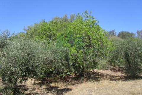 Helårsgrund i Castro Marim, Faro, Castro Marim - € 19.000 | Ref: 2001-120 - foto 11