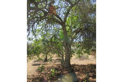 Helårsgrund i Castro Marim, Faro, Castro Marim - € 19.000 | Ref: 2001-120 - foto 13