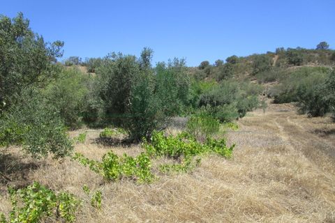 Helårsgrund i Castro Marim, Faro, Castro Marim - € 19.000 | Ref: 2001-120 - foto 20