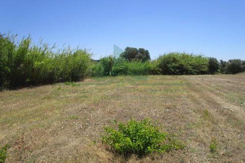 Helårsgrund i Castro Marim, Faro, Castro Marim - € 19.000 | Ref: 2001-119 - foto 2