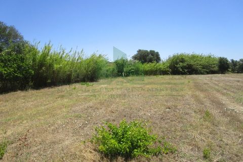 Helårsgrund i Castro Marim, Faro, Castro Marim - € 19.000 | Ref: 2001-119 - foto 11