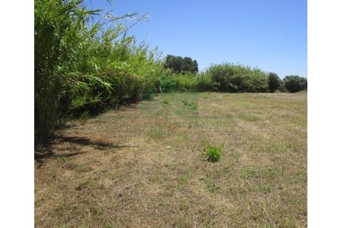 Helårsgrund i Castro Marim, Faro, Castro Marim - € 19.000 | Ref: 2001-119 - foto 12
