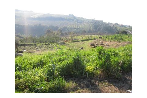 Helårsgrund i Obidos, Leiria, Obidos - € 65.000 | Ref: 1374 - foto 8