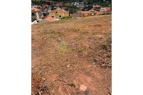 Helårsgrund i Cadaval, Lisbon, Cadaval - € 50.000 | Ref: 947 - foto 6