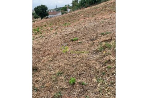 Helårsgrund i Cadaval, Lisbon, Cadaval - € 50.000 | Ref: 947 - foto 8