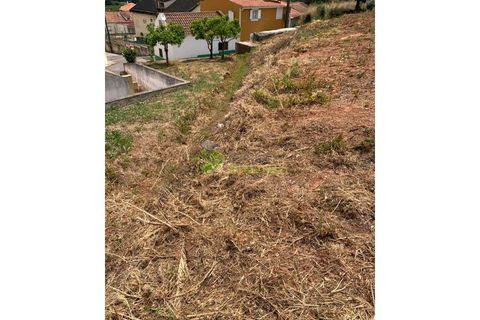 Helårsgrund i Cadaval, Lisbon, Cadaval - € 50.000 | Ref: 947 - foto 9