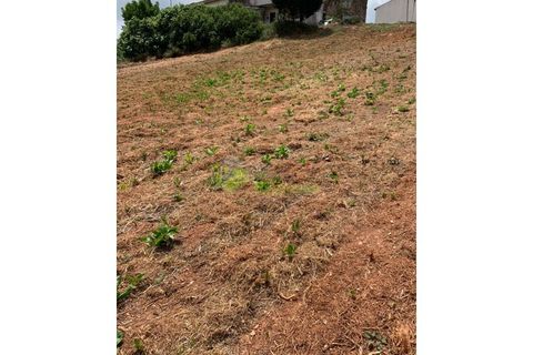 Helårsgrund i Cadaval, Lisbon, Cadaval - € 50.000 | Ref: 947 - foto 10