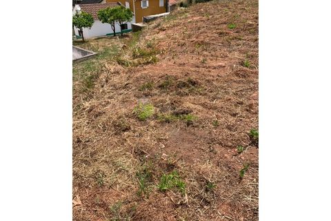 Helårsgrund i Cadaval, Lisbon, Cadaval - € 50.000 | Ref: 947 - foto 11
