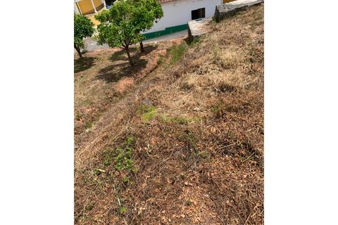 Helårsgrund i Cadaval, Lisbon, Cadaval - € 50.000 | Ref: 947 - foto 12
