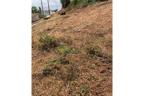 Helårsgrund i Cadaval, Lisbon, Cadaval - € 50.000 | Ref: 947 - foto 13