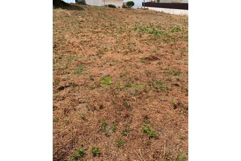 Helårsgrund i Cadaval, Lisbon, Cadaval - € 50.000 | Ref: 947 - foto 14