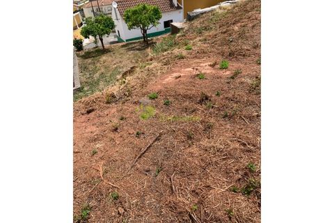Helårsgrund i Cadaval, Lisbon, Cadaval - € 50.000 | Ref: 947 - foto 15