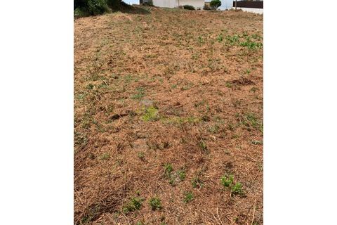 Helårsgrund i Cadaval, Lisbon, Cadaval - € 50.000 | Ref: 947 - foto 16