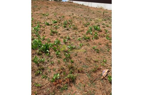 Helårsgrund i Cadaval, Lisbon, Cadaval - € 50.000 | Ref: 947 - foto 22