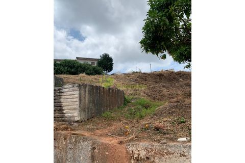 Helårsgrund i Cadaval, Lisbon, Cadaval - € 50.000 | Ref: 947 - foto 23
