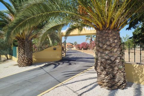 Farm i Aveiras de Cima, Lisbon, Aveiras de Cima - € 1.250.000 | Ref: MAS_296 - foto 20