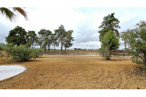 Farm i Aveiras de Cima, Lisbon, Aveiras de Cima - € 1.250.000 | Ref: MAS_296 - foto 28