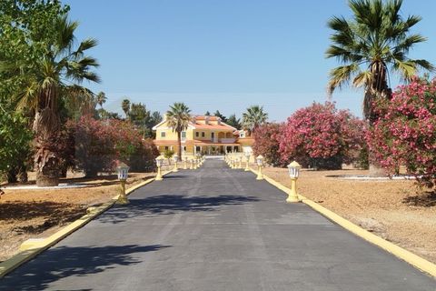 Farm i Aveiras de Cima, Lisbon, Aveiras de Cima - € 1.250.000 | Ref: MAS_296 - foto 29