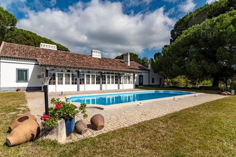 Landejendom i Alcacer do Sal, Setubal, Alcacer do Sal - € 3.900.000 | Ref: 1820 - foto 1