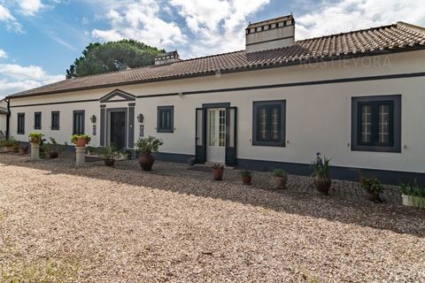 Landejendom i Alcacer do Sal, Setubal, Alcacer do Sal - € 3.900.000 | Ref: 1820 - foto 2