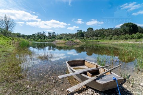 Landejendom i Alcacer do Sal, Setubal, Alcacer do Sal - € 3.900.000 | Ref: 1820 - foto 3
