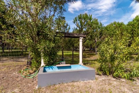 Landejendom i Alcacer do Sal, Setubal, Alcacer do Sal - € 3.900.000 | Ref: 1820 - foto 4