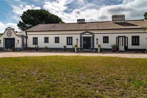 Landejendom i Alcacer do Sal, Setubal, Alcacer do Sal - € 3.900.000 | Ref: 1820 - foto 5