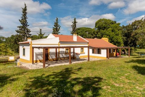 Landejendom i Alcacer do Sal, Setubal, Alcacer do Sal - € 3.900.000 | Ref: 1820 - foto 6