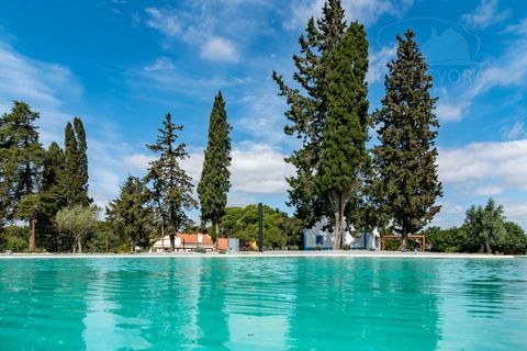 Landejendom i Alcacer do Sal, Setubal, Alcacer do Sal - € 3.900.000 | Ref: 1820 - foto 8