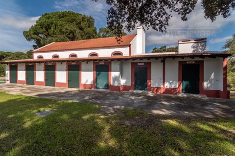 Landejendom i Alcacer do Sal, Setubal, Alcacer do Sal - € 3.900.000 | Ref: 1820 - foto 9