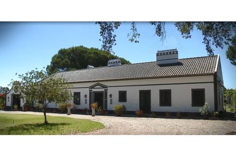 Landejendom i Alcacer do Sal, Setubal, Alcacer do Sal - € 3.900.000 | Ref: 1820 - foto 11
