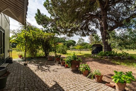 Landejendom i Alcacer do Sal, Setubal, Alcacer do Sal - € 3.900.000 | Ref: 1820 - foto 12