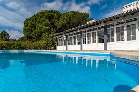 Landejendom i Alcacer do Sal, Setubal, Alcacer do Sal - € 3.900.000 | Ref: 1820 - foto 13