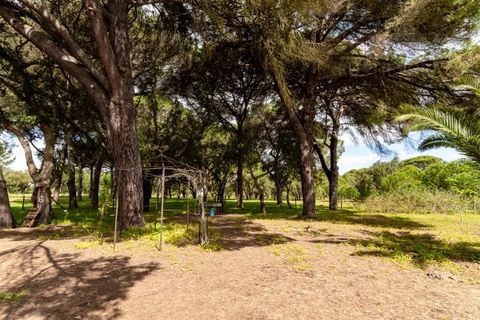Landejendom i Alcacer do Sal, Setubal, Alcacer do Sal - € 3.900.000 | Ref: 1820 - foto 14
